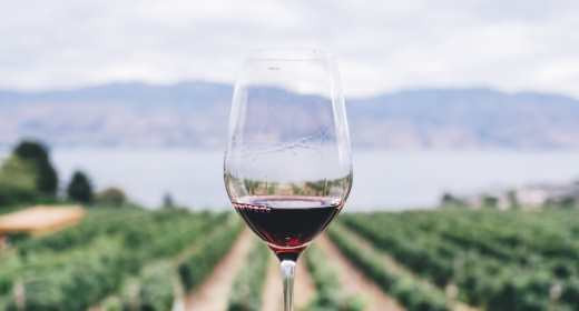 The Wines of Amalfi: A Wine Tasting Experience