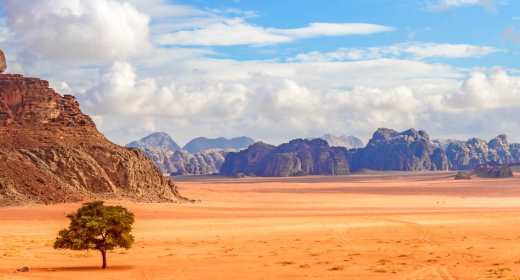Wadi Rum Desert Experience