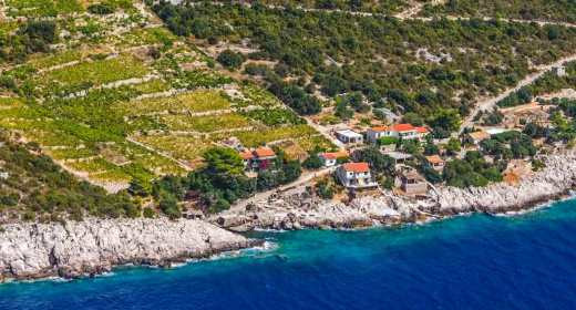 Gifts of the Land: Journey Through the Peljesac Wine Roads