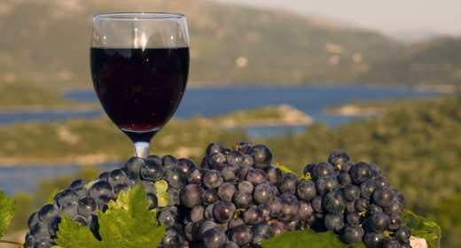 Discovering the Rural Beauty of Croatia: Wine Tasting in the Konvale Valley