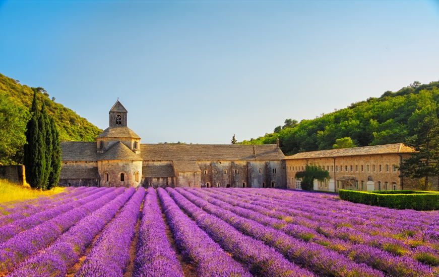 Four beautiful authentic sites in France Abbey of Senanque and blooming rows lavender 296156339