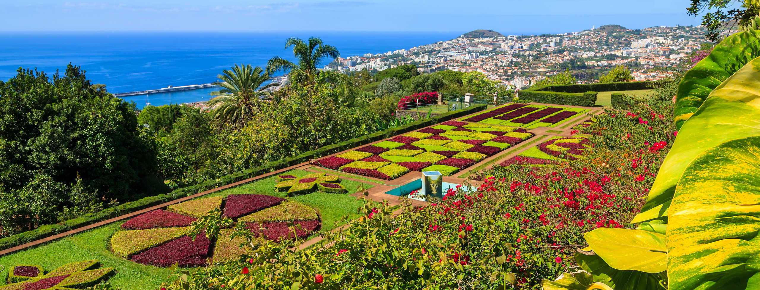 Madeira - TrueTrips